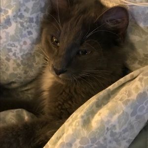 Meet your Posher, Eunice